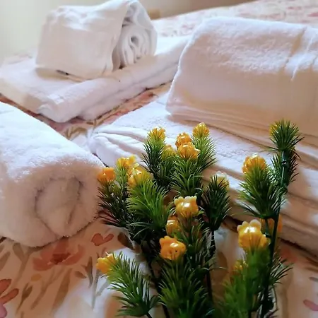 Arena Tu En Apartamento