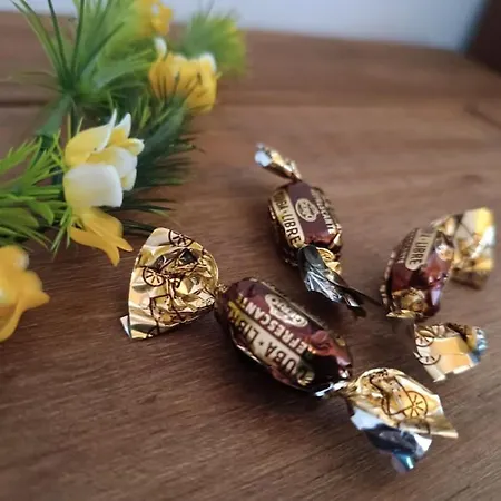 Arena Tu En Apartamento Llanes