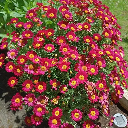 Apartamento Arena Tu En