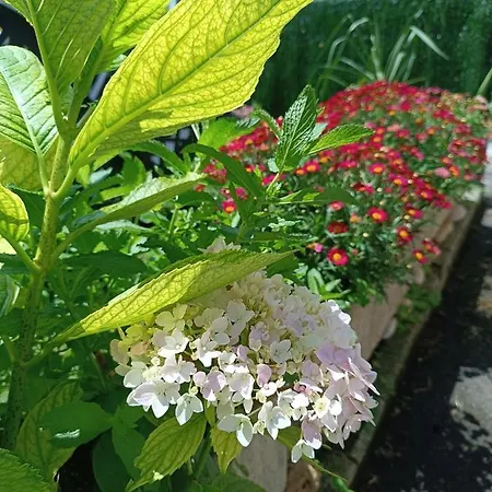 Apartamento Arena Tu En Llanes