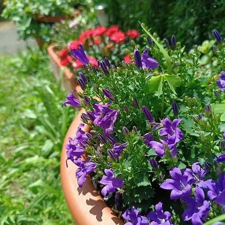 Arena Tu En Διαμέρισμα *